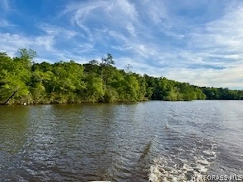 12454 Fop Lodge Road Andalusia AL 36421