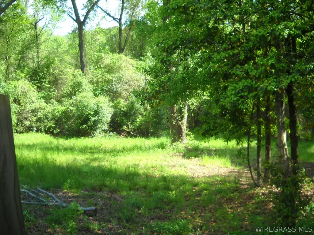 294 Patrick Avenue Ozark AL 36360