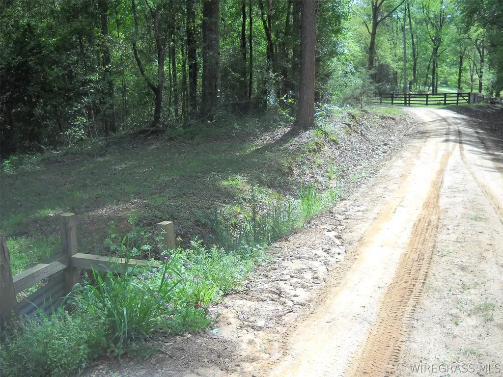 294 Patrick Avenue Ozark AL 36360