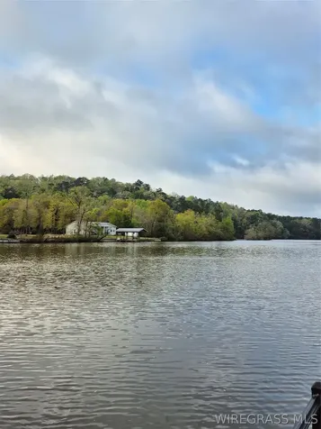 26212 Bush Isle Road Andalusia AL 36421