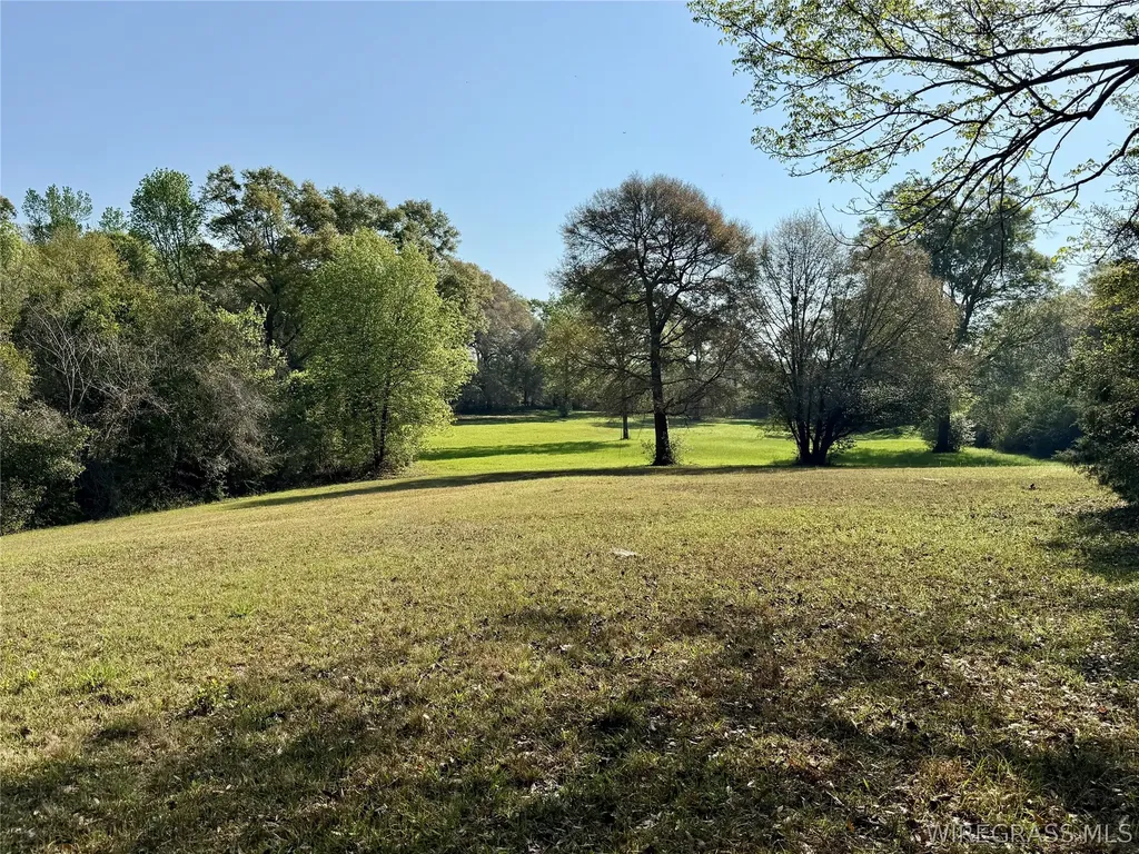 12268 County Road 41 Hartford AL 36344