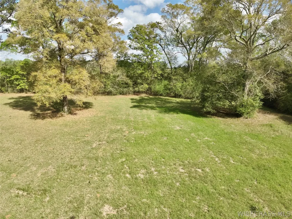 12268 County Road 41 Hartford AL 36344