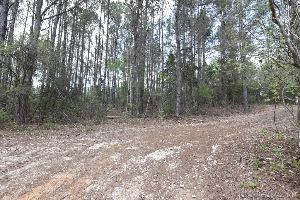0 Tank Hill Road Daleville AL 36322