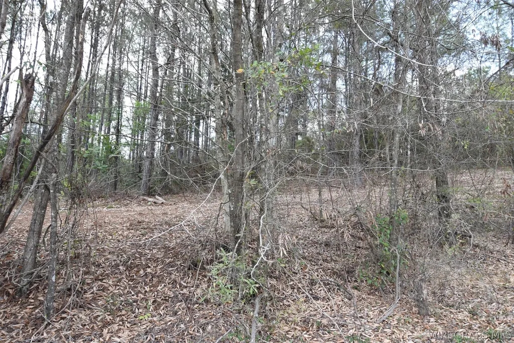 0 Tank Hill Road Daleville AL 36322