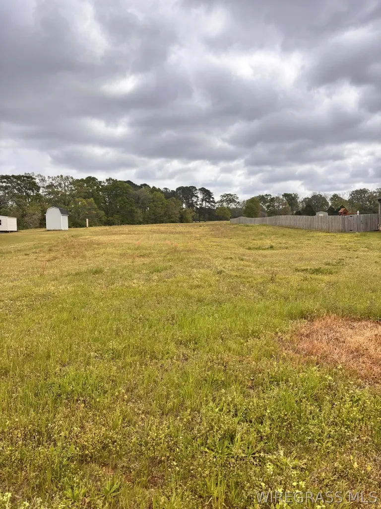 2298 County Road 712 Road Enterprise AL 36330