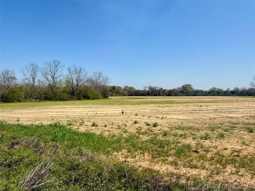 13 Creek Church Road AL 36370