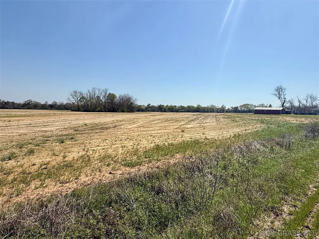 13 Creek Church Road AL 36370