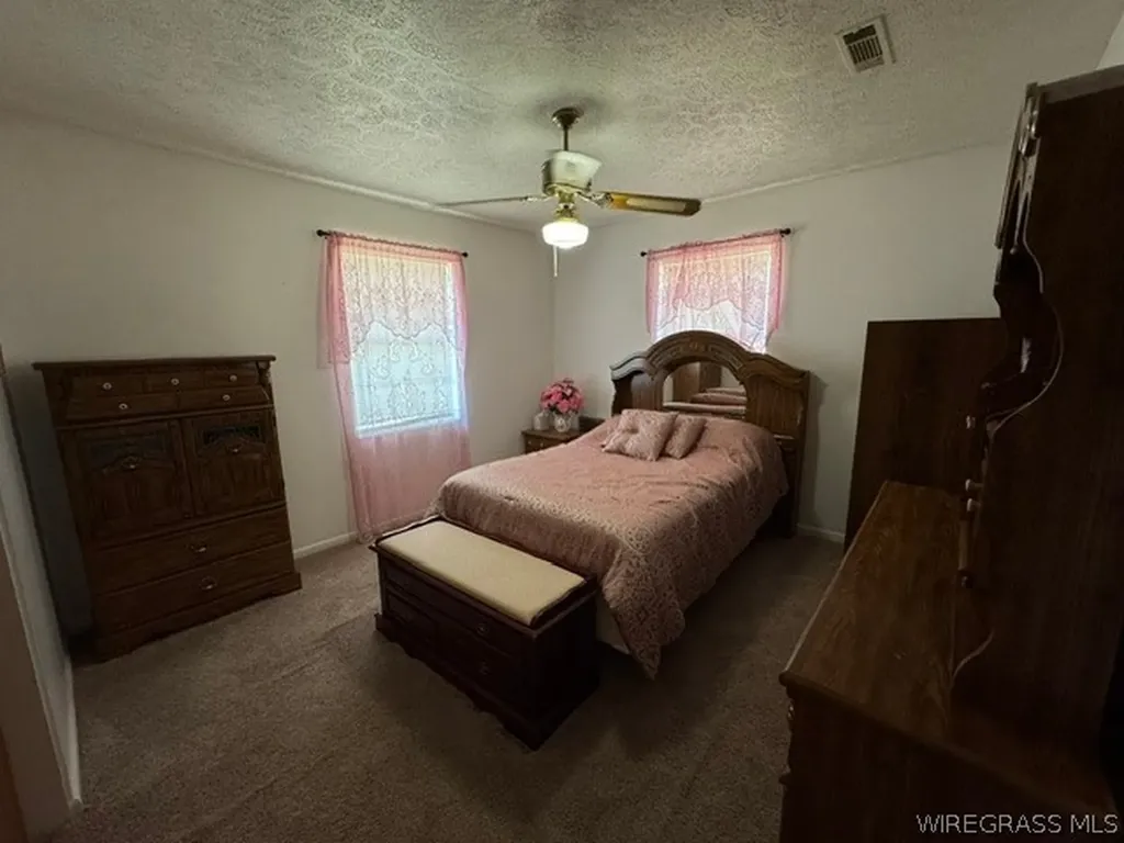 13935 Cottonwood Road Cottonwood AL 36320
