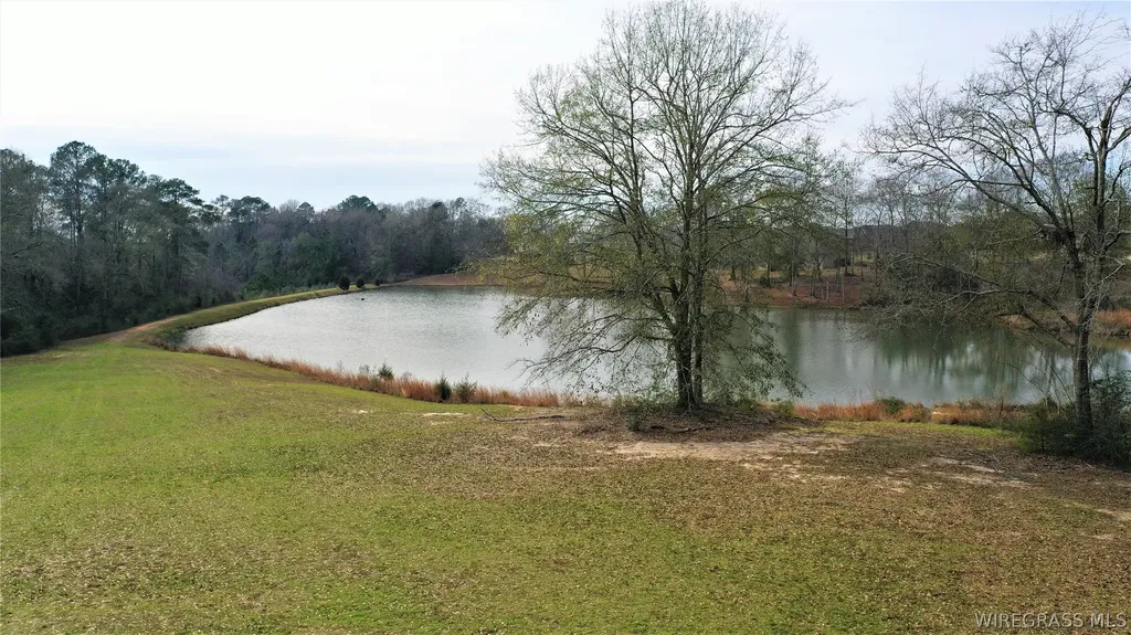 306 Turtleback Enterprise AL 36330
