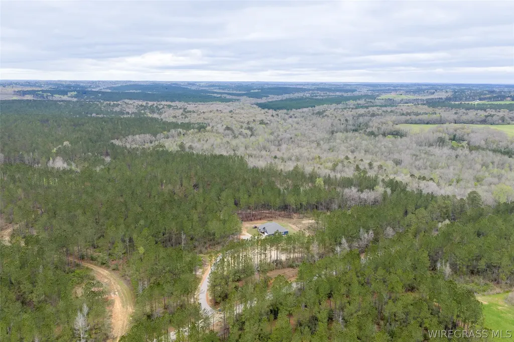 1059 County Road 330 Circle Elba AL 36323