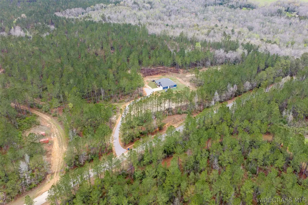 1059 County Road 330 Circle Elba AL 36323