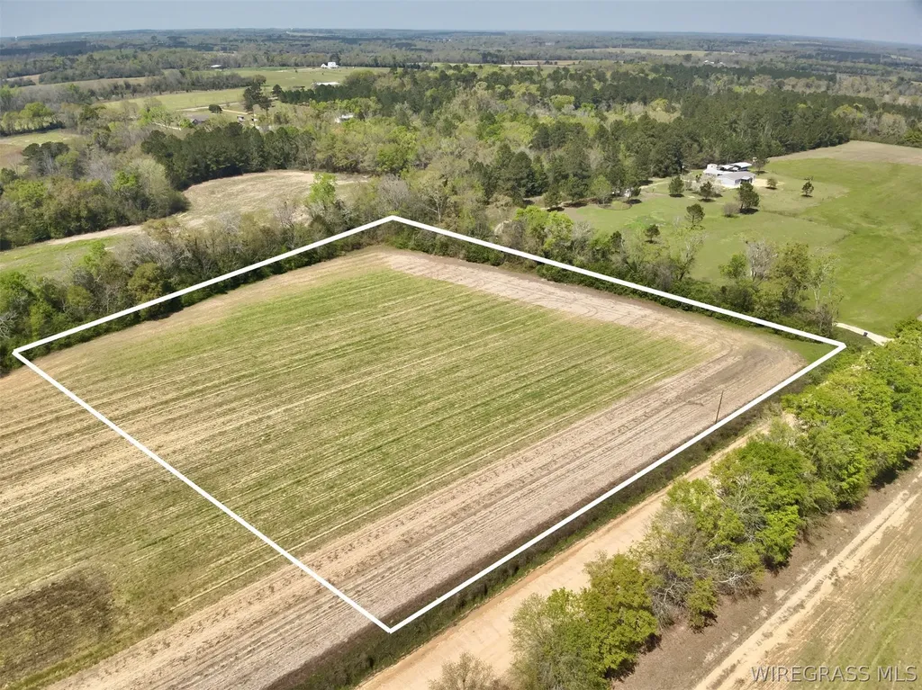 4 Dillard Road AL 36370