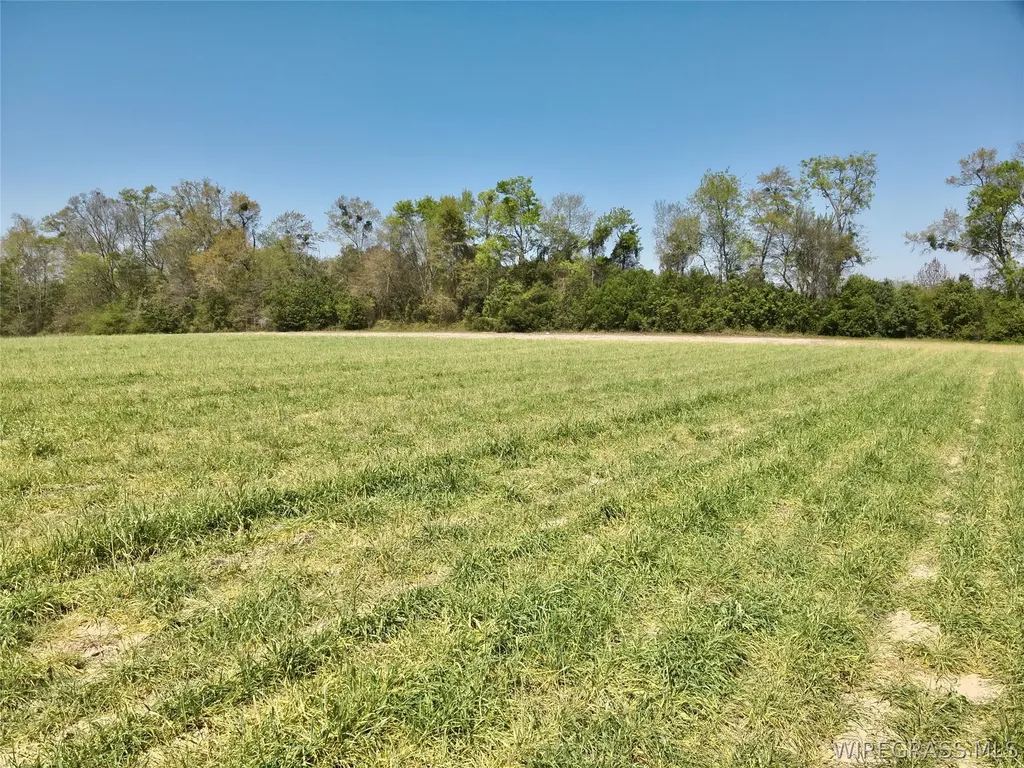 4 Dillard Road AL 36370