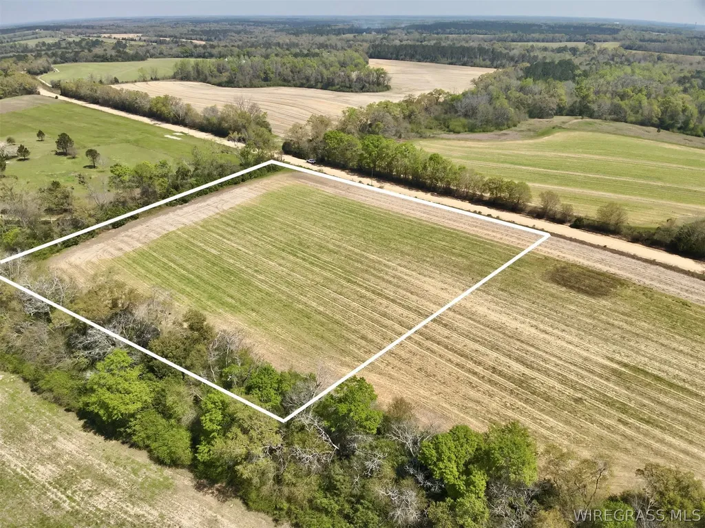 4 Dillard Road AL 36370
