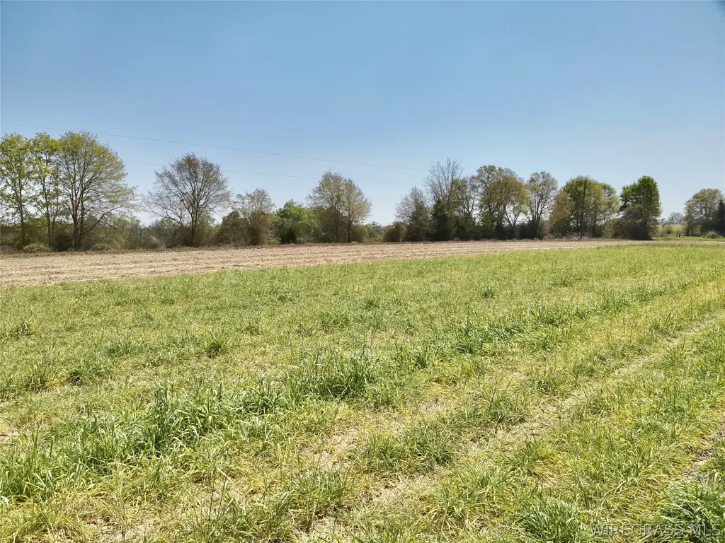 4 Dillard Road AL 36370