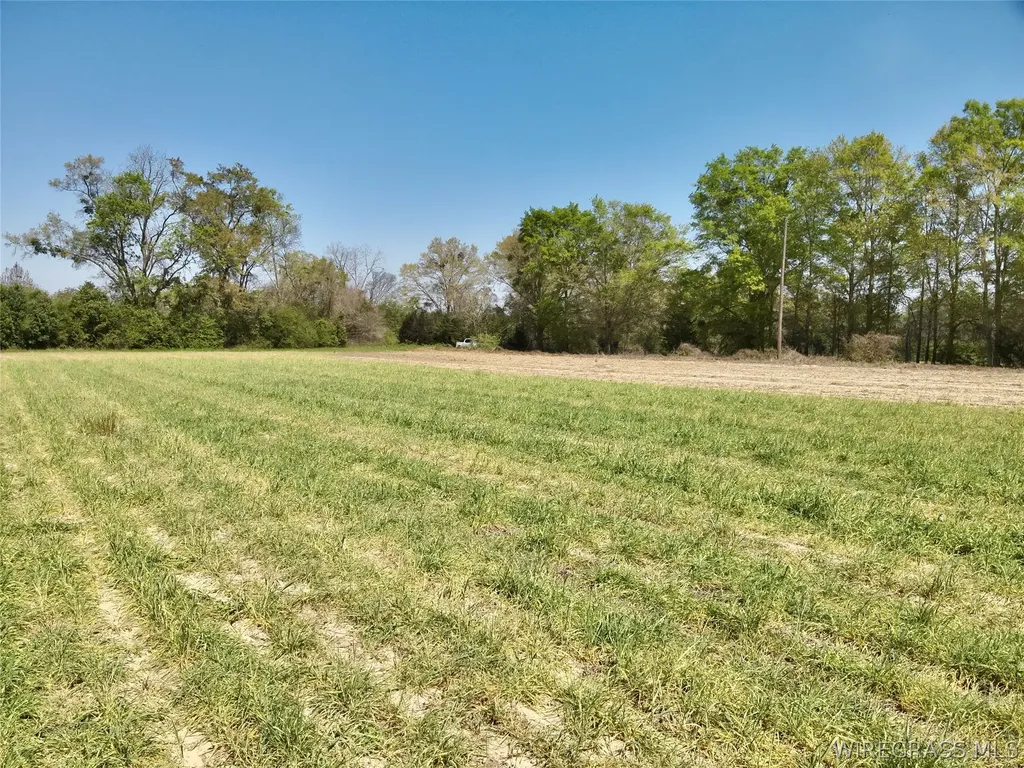 4 Dillard Road AL 36370