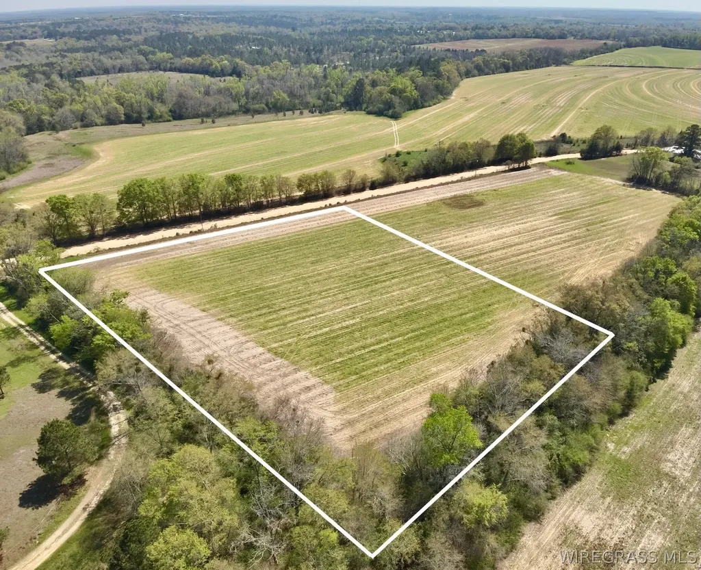 4 Dillard Road AL 36370