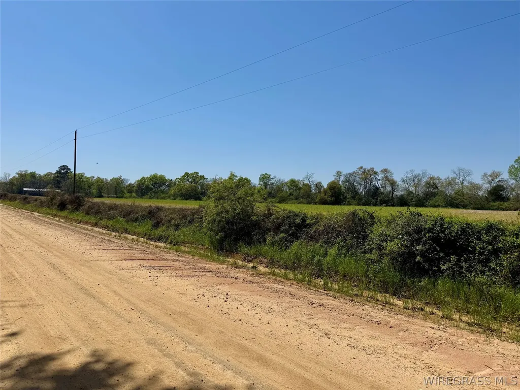 4 Dillard Road AL 36370