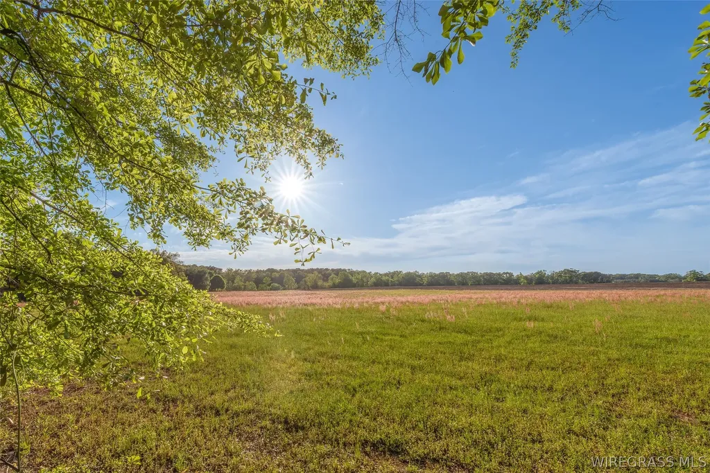 3435 Lake Oak Ridge Drive Enterprise AL 36330