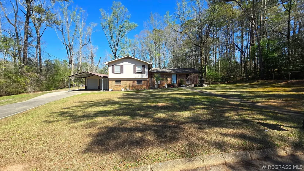 300 Johnson Street Brundidge AL 36010