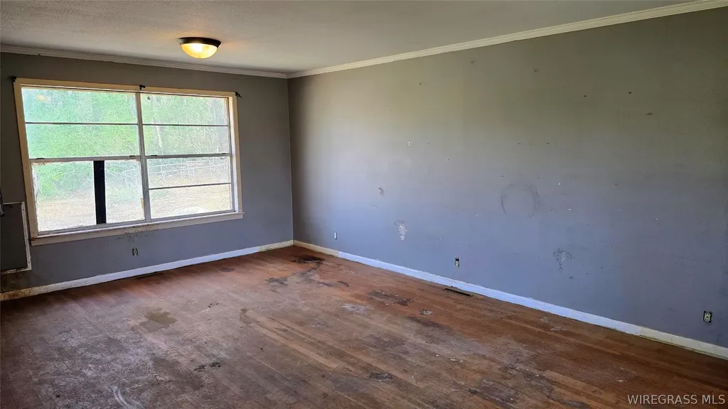 300 Johnson Street Brundidge AL 36010
