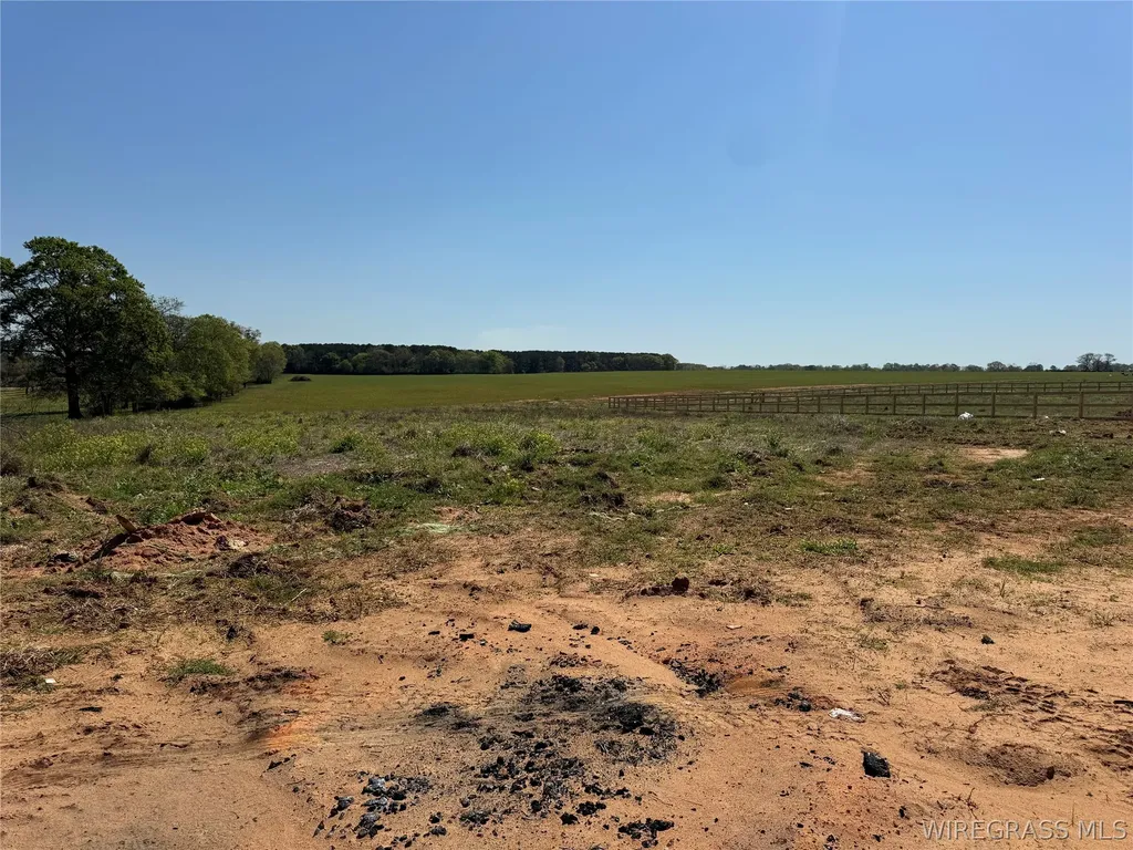 1498 County Road 723 Chancellor AL 36316