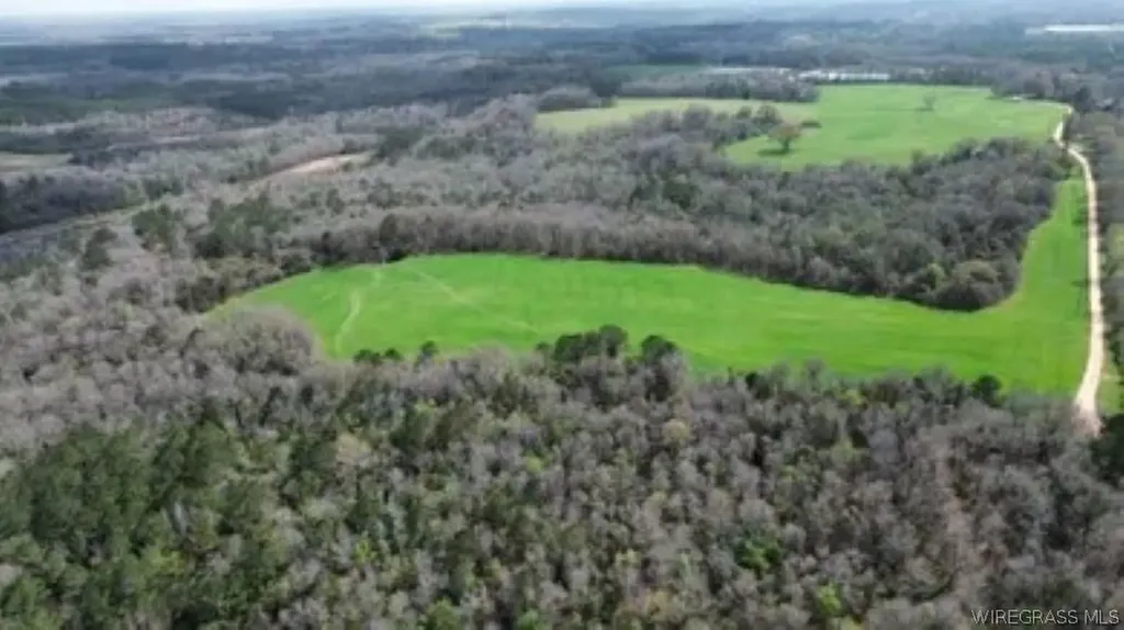 208 County Road 7 Road Clio AL 36017