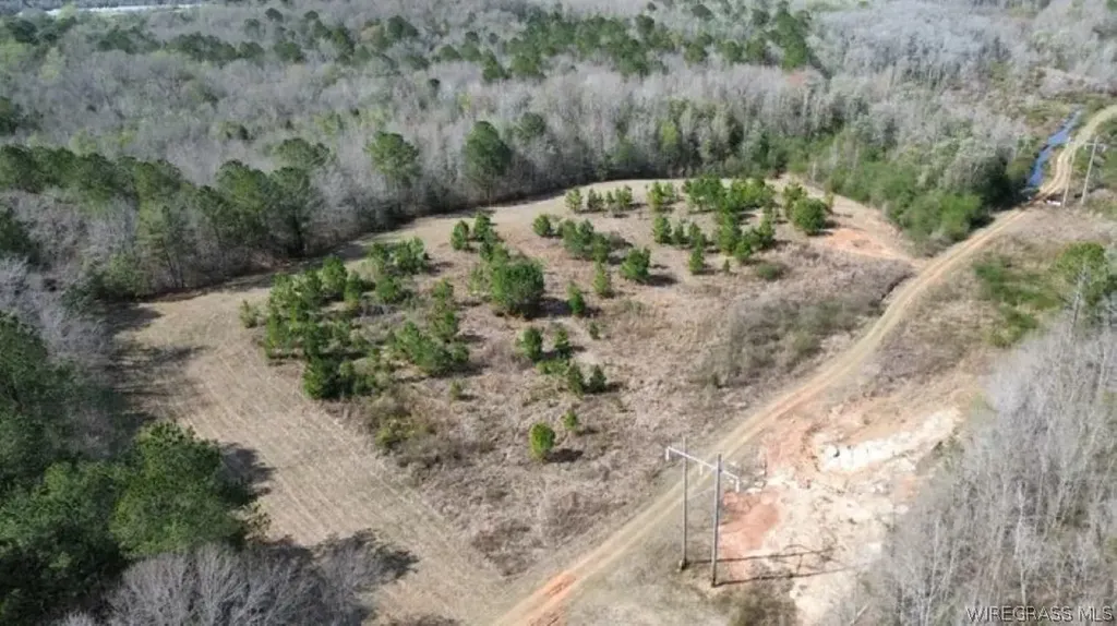 208 County Road 7 Road Clio AL 36017