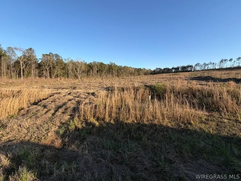 0 County Road 105 Jack AL 36346