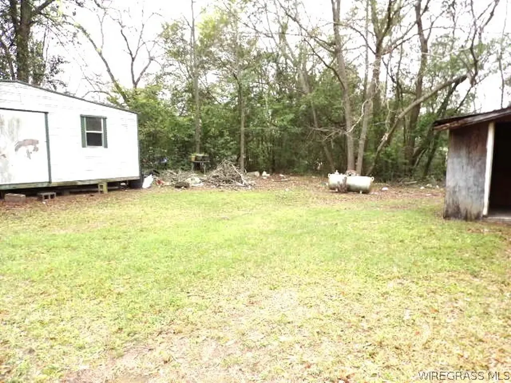 14 Meadow Grove Court Clio AL 36017