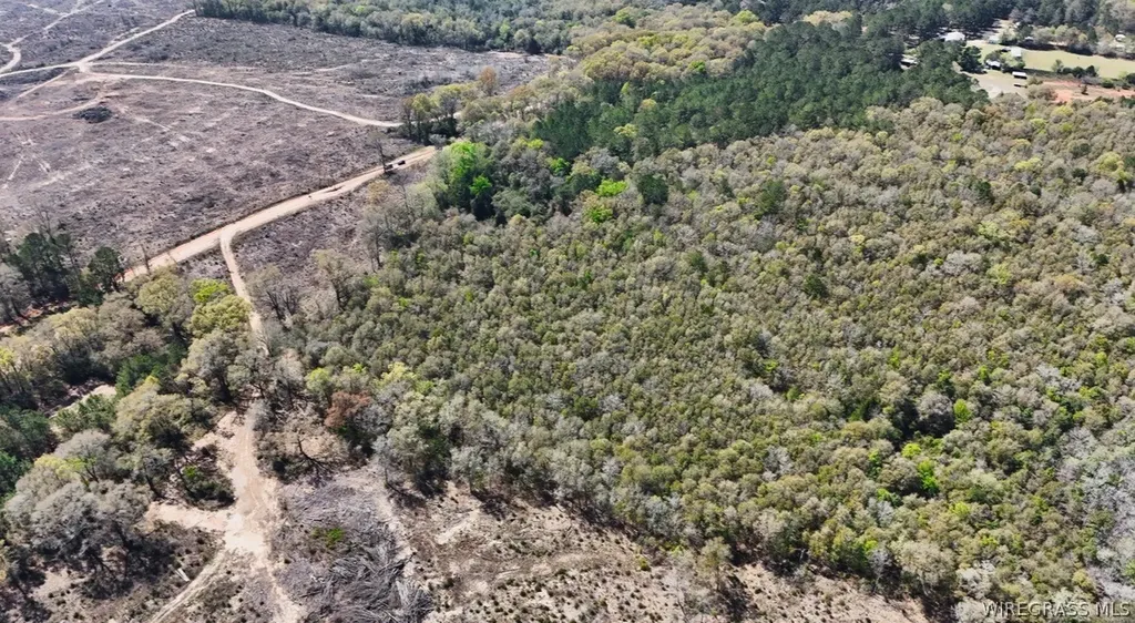 0 County Road 437 Highway Daleville AL 36322