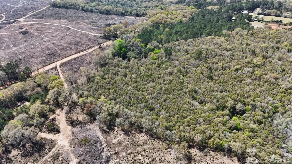 0 County Road 437 Highway Daleville AL 36322