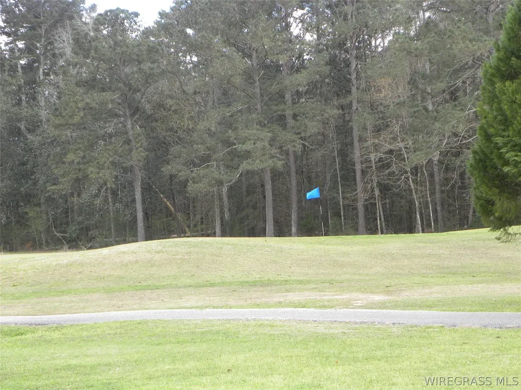 0 Terrell Place Ozark AL 36360