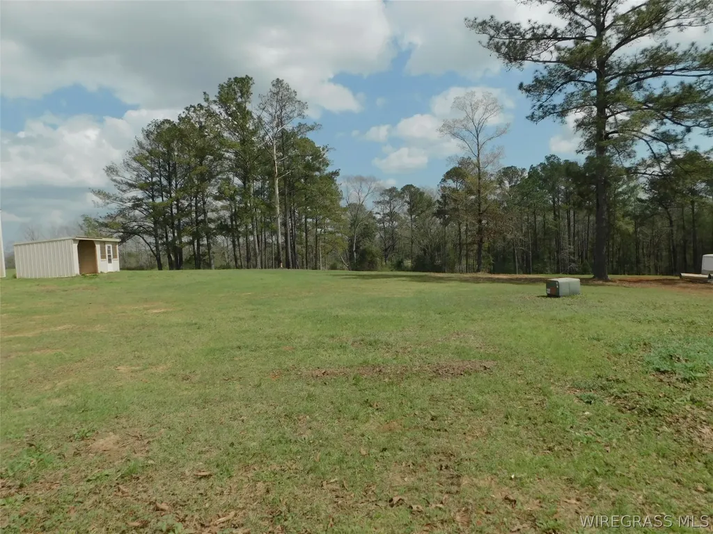 7016 Jd Williamson Road Red Level AL 36474