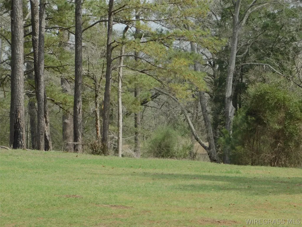 7016 Jd Williamson Road Red Level AL 36474