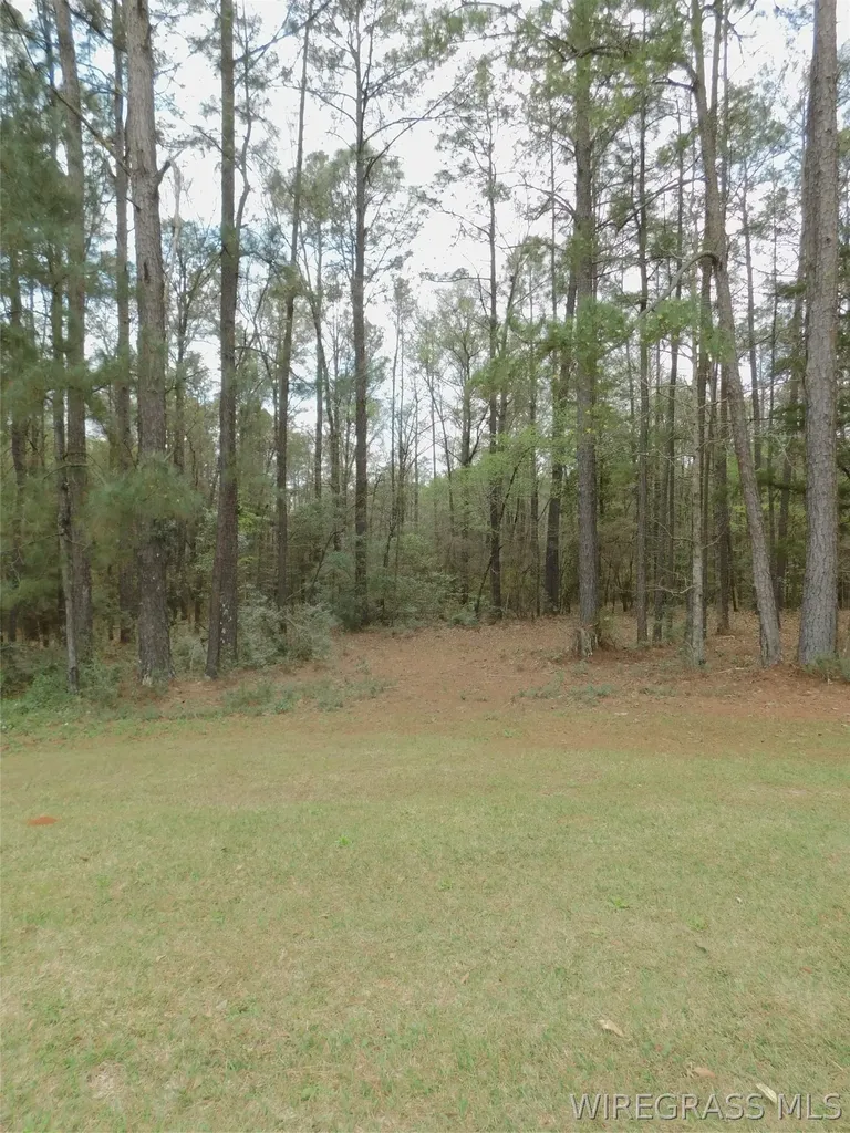 7016 Jd Williamson Road Red Level AL 36474