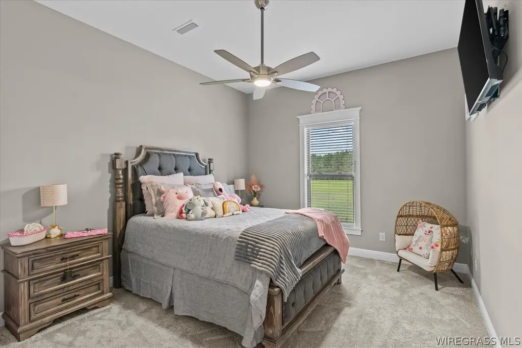 8262 County Road 636 Chancellor AL 36316