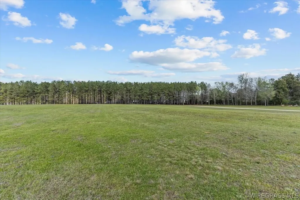 8262 County Road 636 Chancellor AL 36316