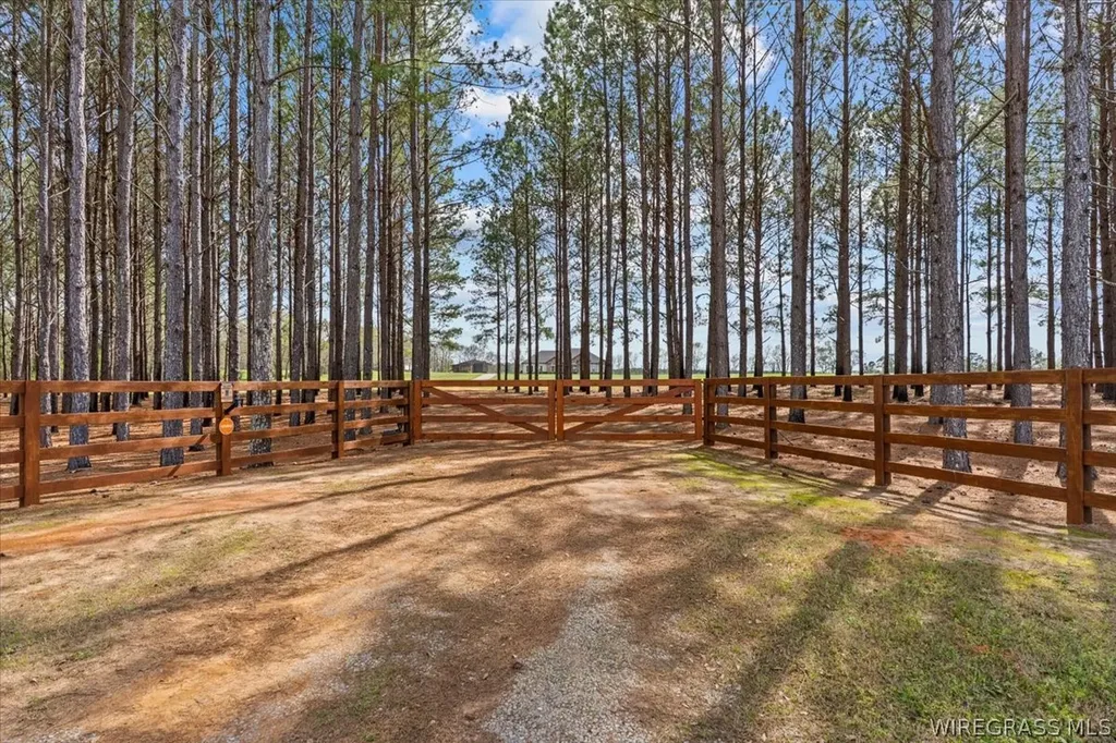 8262 County Road 636 Chancellor AL 36316