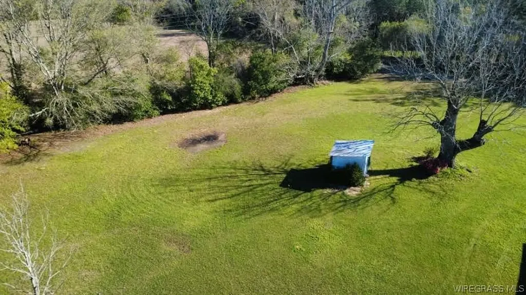 4720 W County Road 19 Ariton AL 36311
