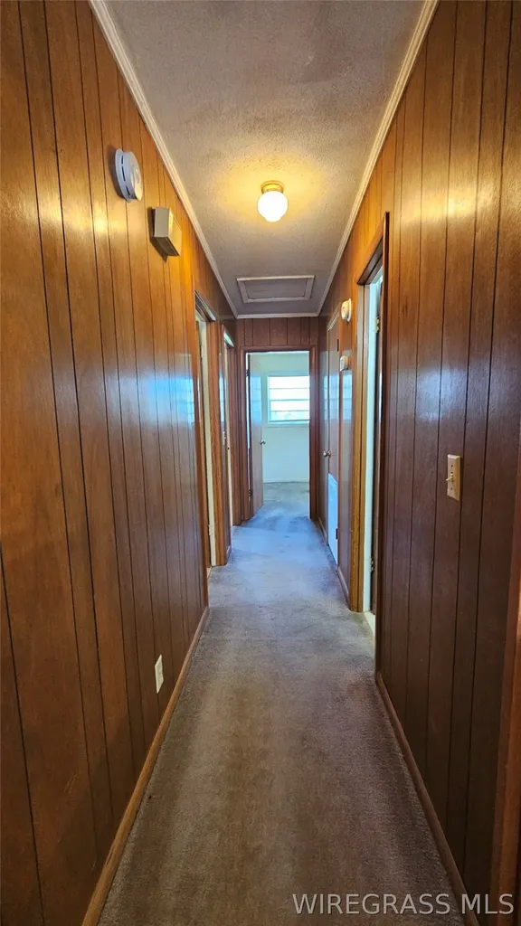 4720 W County Road 19 Ariton AL 36311
