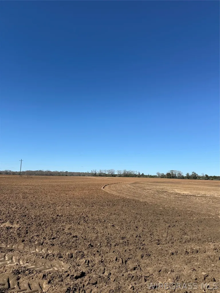 0 Enterprise Highway Geneva AL 36340