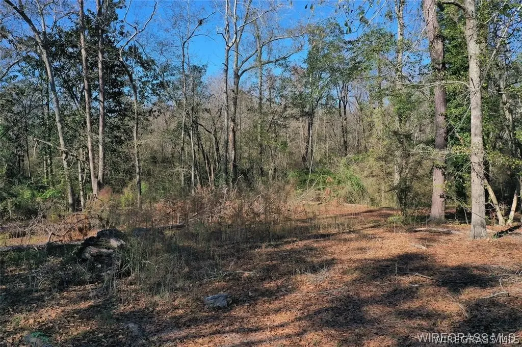 203 Harrand Creek Drive Enterprise AL 36330