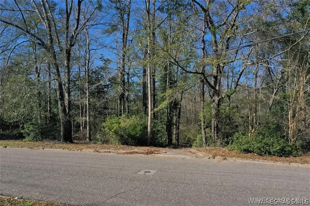 203 Harrand Creek Drive Enterprise AL 36330