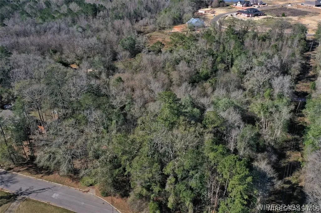 203 Harrand Creek Drive Enterprise AL 36330