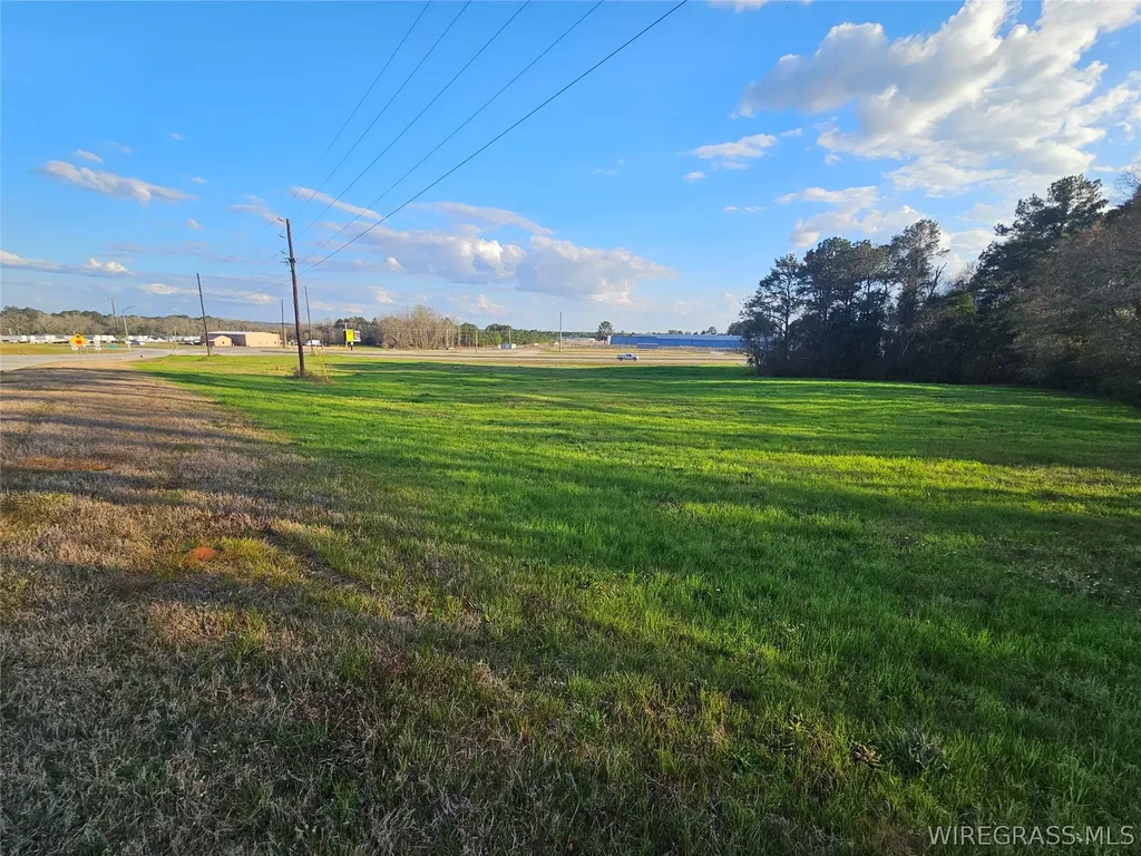 0 Hickman Avenue Elba AL 36323
