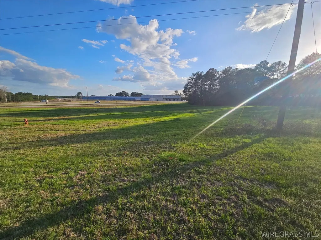 0 Hickman Avenue Elba AL 36323