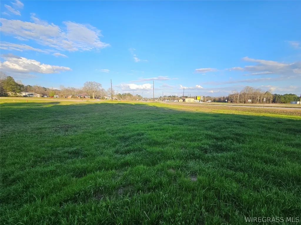 0 Hickman Avenue Elba AL 36323