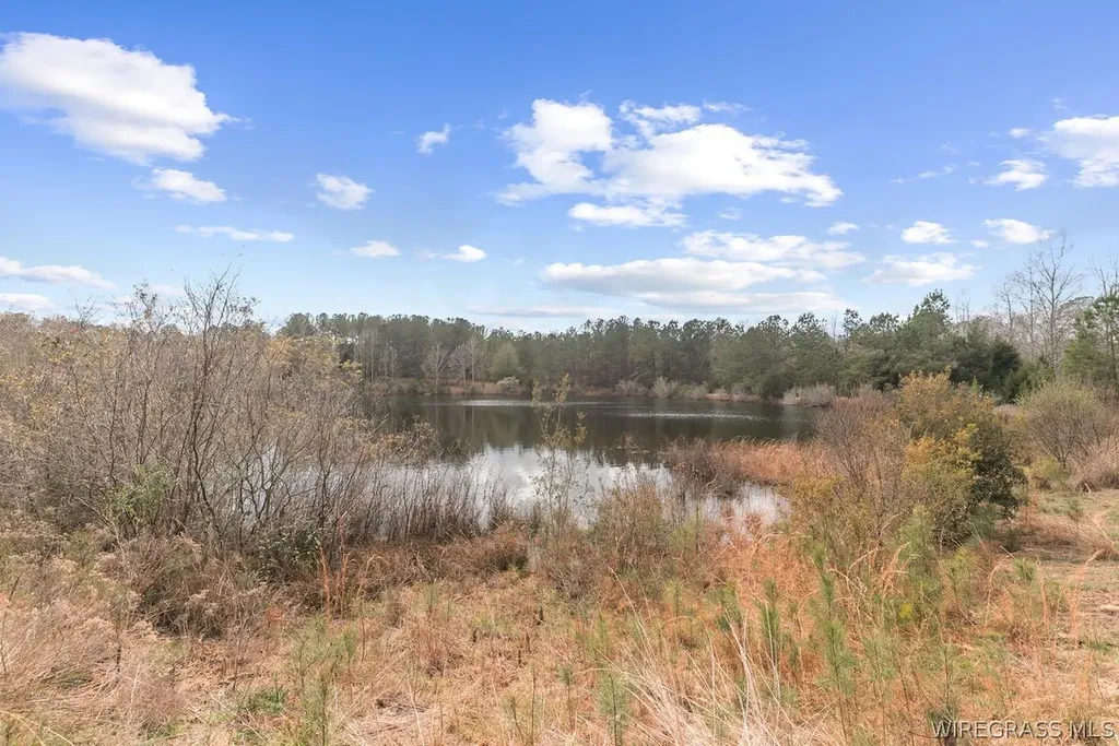 2133 County Road 30 Ozark AL 36360
