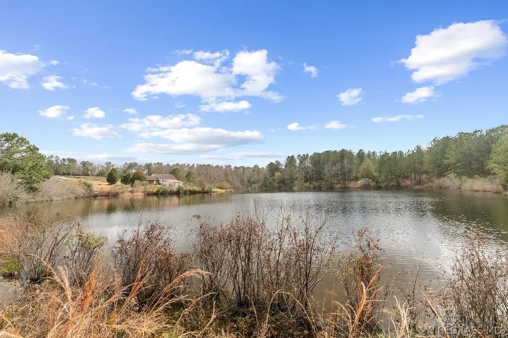 2133 County Road 30 Ozark AL 36360